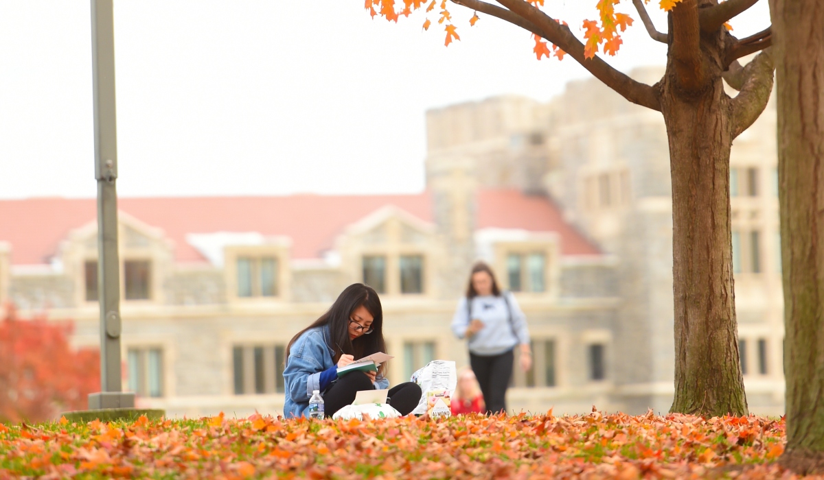 Student sitting among leaves