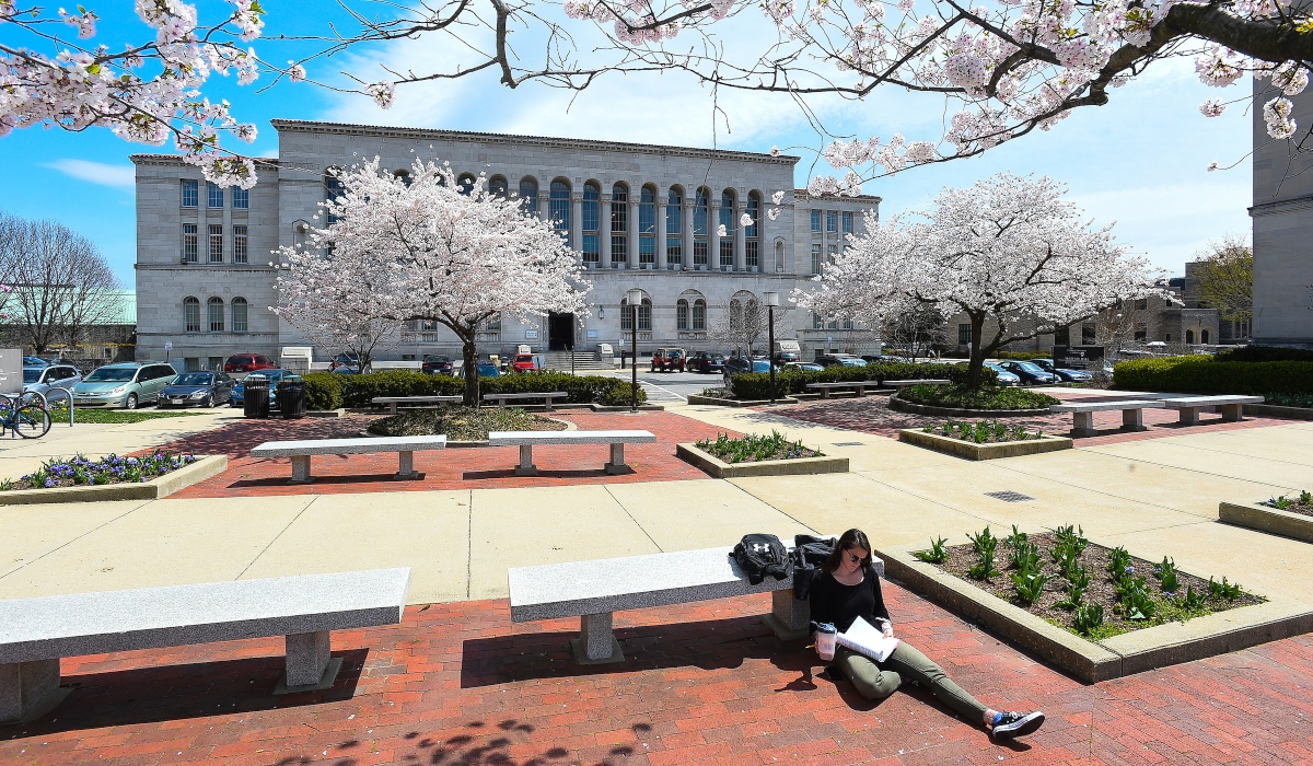 Student sitting under cherry blossom